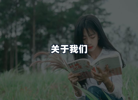 关于我们